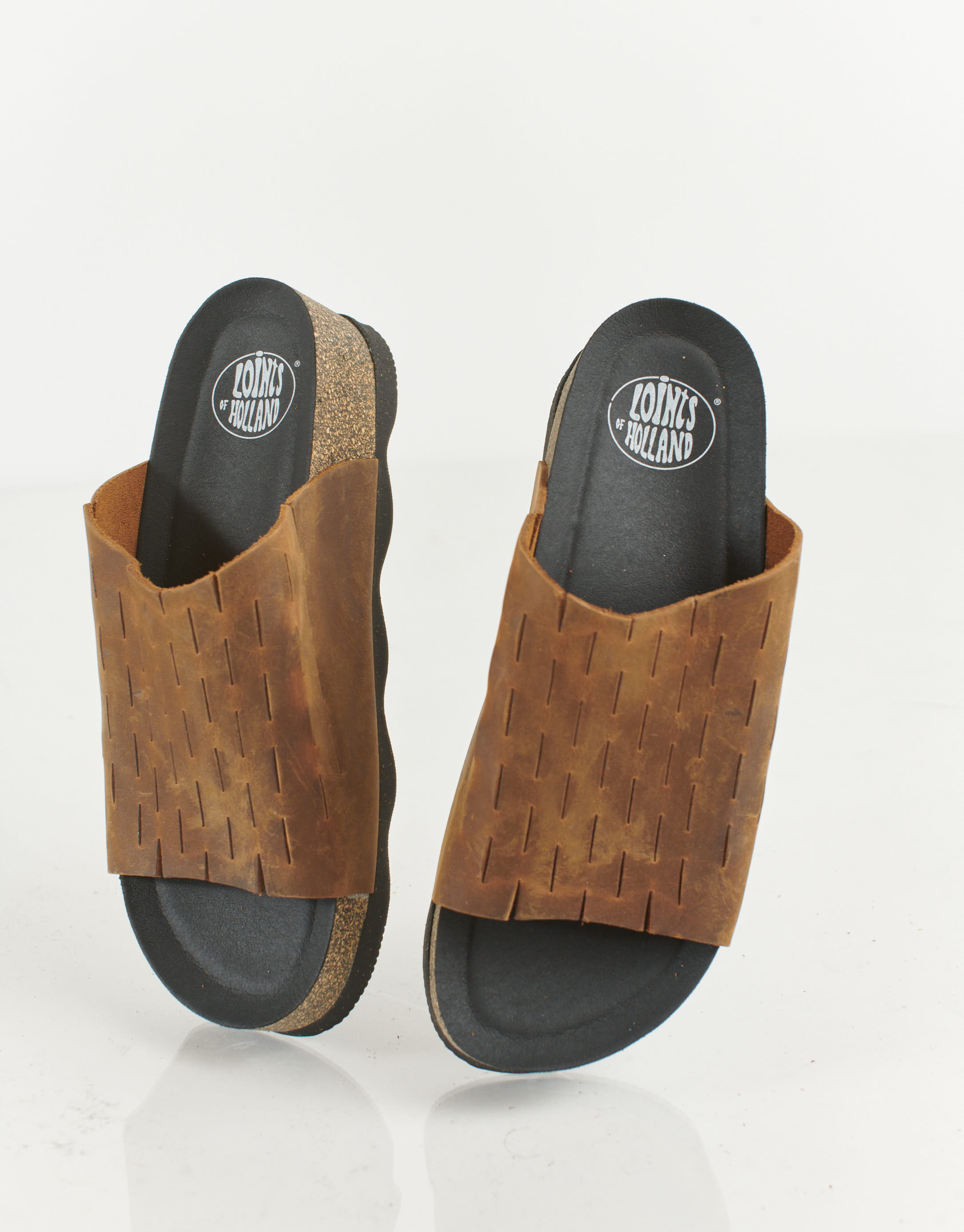 נעלי נשים - loints of Holland - כפכפים  DALEM - קאמל3