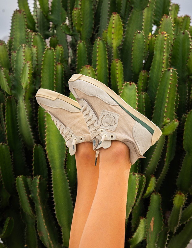 שאלות ותשובות